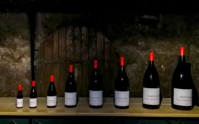 Guide complet pour le stockage des bouteilles Magnum : Comment préserver vos grands crus en toute sécurité